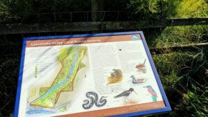 Luscombe Valley Nature Reserve Thumb