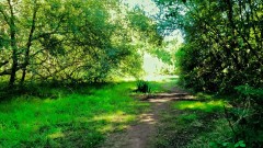 Luscombe Valley Nature Reserve Thumb