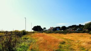 Luscombe Valley Nature Reserve Thumb