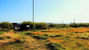 Luscombe Valley Nature Reserve Thumb