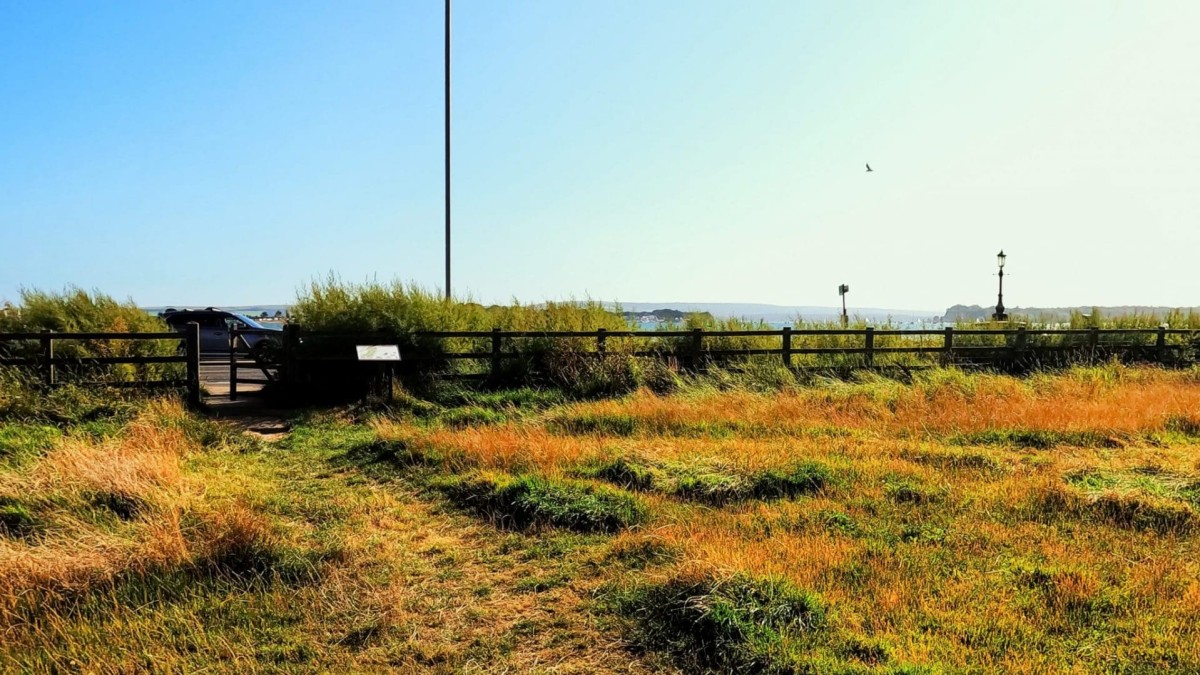 Luscombe Valley Nature Reserve
