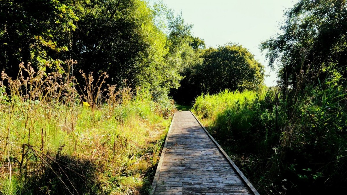 Luscombe Valley Nature Reserve