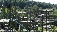 Monkey World – Ape Rescue Centre Thumb