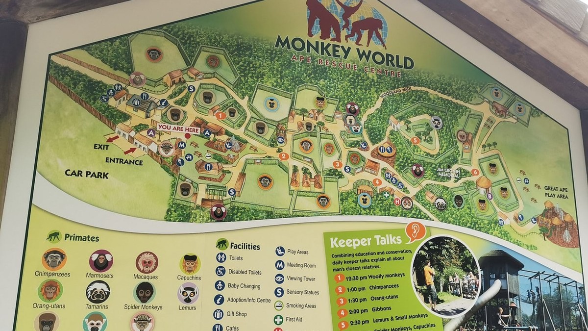 Monkey World – Ape Rescue Centre