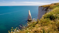 Old Harry Rocks Thumb