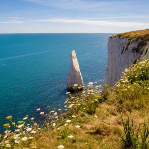 Old Harry Rocks Thumb