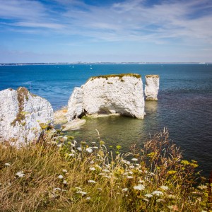 Old Harry Rocks Thumb