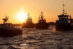Fish and Chips Lunchtime or Evening Cruise Thumb