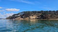 Poole Harbor: Boat Rental Service Thumb