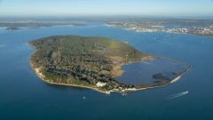 Harbour and Islands Circular Cruise Thumb