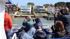 Harbour and Islands Circular Cruise Thumb