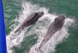 Jurassic Coast Circular Cruise Thumb