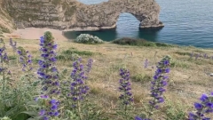 Private Durdle Door & Lulworth Cove Day Trip Thumb