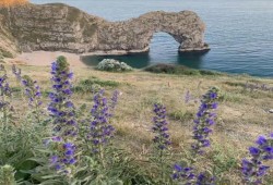 Private Durdle Door & Lulworth Cove Day Trip Thumb