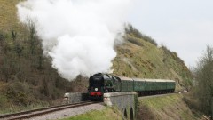 Swanage Thumb