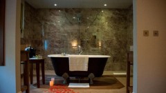 The Green House Thumb