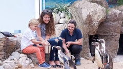 The Oceanarium Thumb