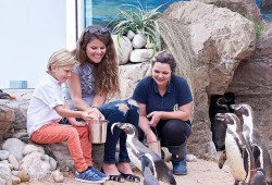 The Oceanarium Thumb