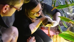 The Oceanarium Thumb
