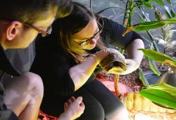 The Oceanarium Thumb