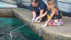 The Oceanarium Thumb