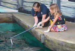 The Oceanarium Thumb