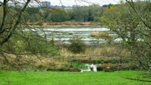Upton Country House & Park Thumb