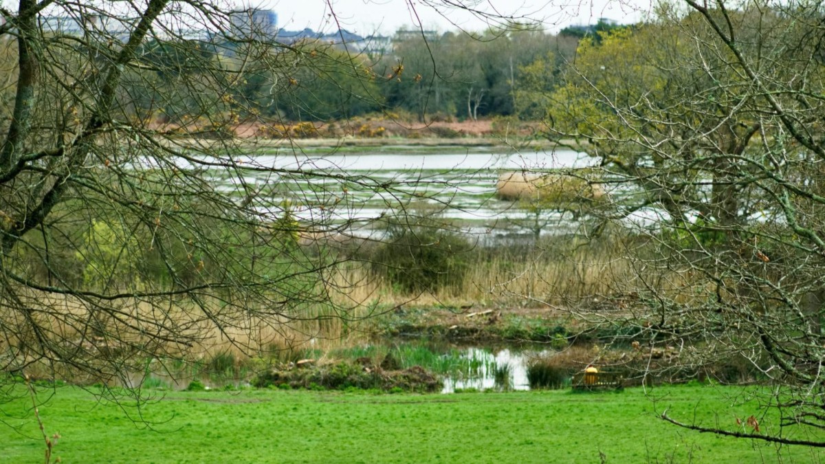 Upton Country House & Park