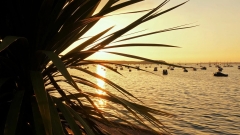 Sandbanks Beach Thumb