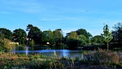 Poole Park Thumb