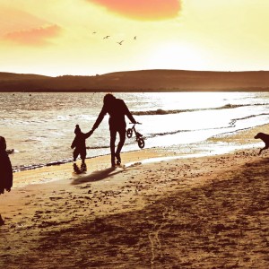 Discover Sandbanks Thumb