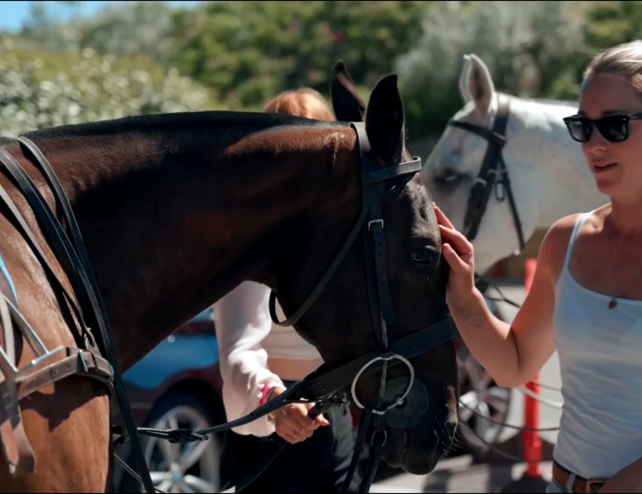 Sandpolo (British Beach Polo Championships)