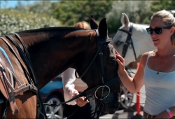Sandpolo (British Beach Polo Championships) Thumb