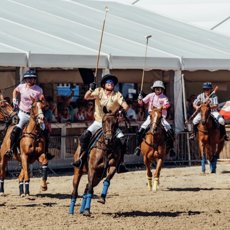 Sandpolo (British Beach Polo Championships)
