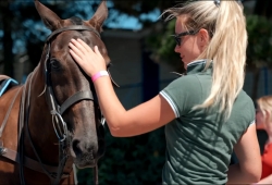 Sandpolo (British Beach Polo Championships) Thumb