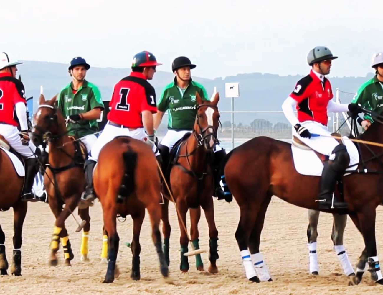 Sandpolo (British Beach Polo Championships)
