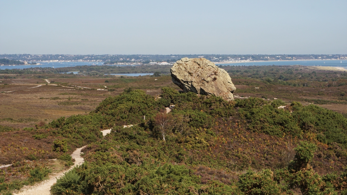 Agglestone Rock