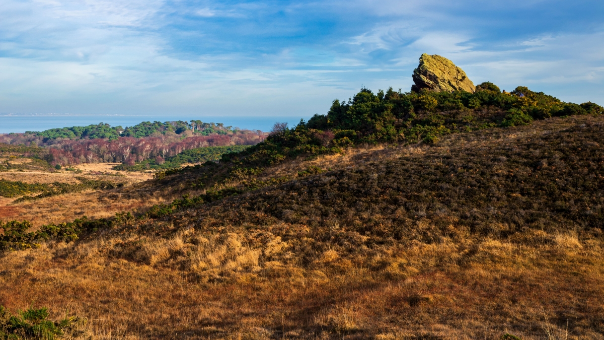 Agglestone Rock