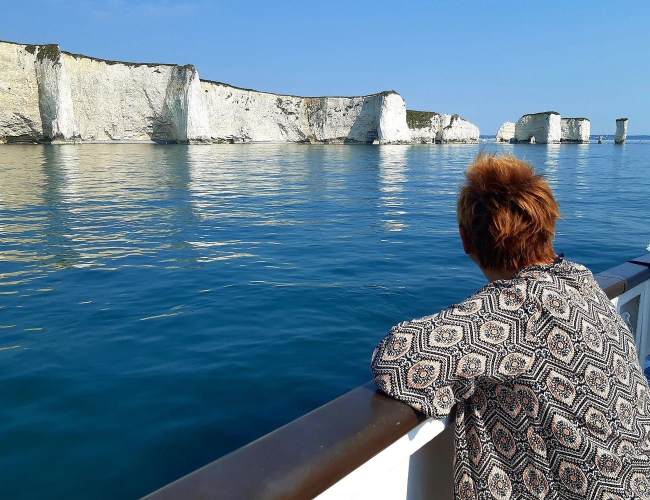 Bird Watching Cruise Along the Jurassic Coast