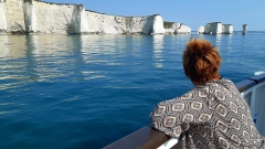 Bird Watching Cruise Along the Jurassic Coast Thumb