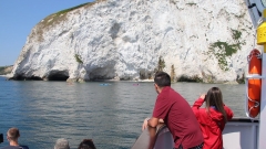 Bird Watching Cruise Along the Jurassic Coast Thumb