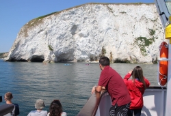 Bird Watching Cruise Along the Jurassic Coast Thumb