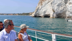 Bird Watching Cruise Along the Jurassic Coast Thumb