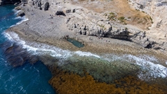 Dancing Ledge Thumb