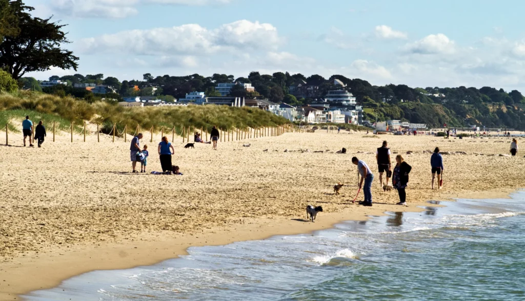 Dog Walkers Heaven at Sandbanks