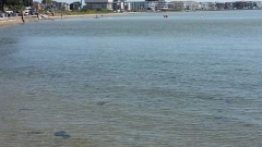 Full Beginner Windsurfing Course (6 Hours) Thumb