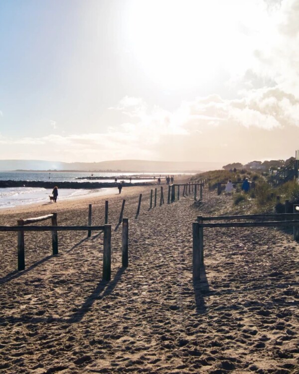 Vitamin Sea: Why Visiting Sandbanks is Good For You