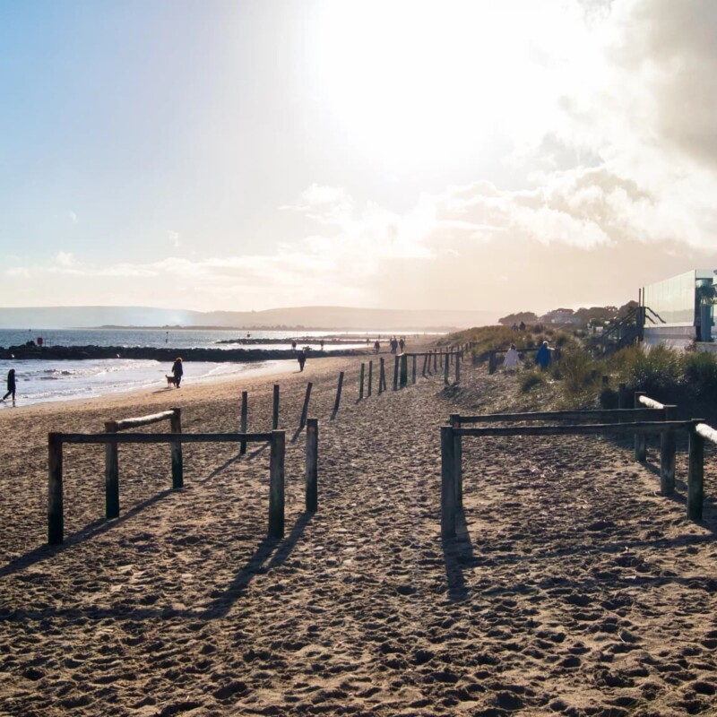 Vitamin Sea: Why Visiting Sandbanks is Good For You