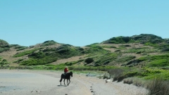 Horseback Ride Through Scenic Heathland Thumb