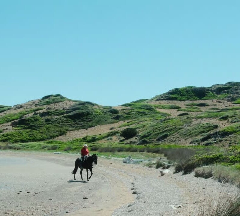 Horseback Ride Through Scenic Heathland
